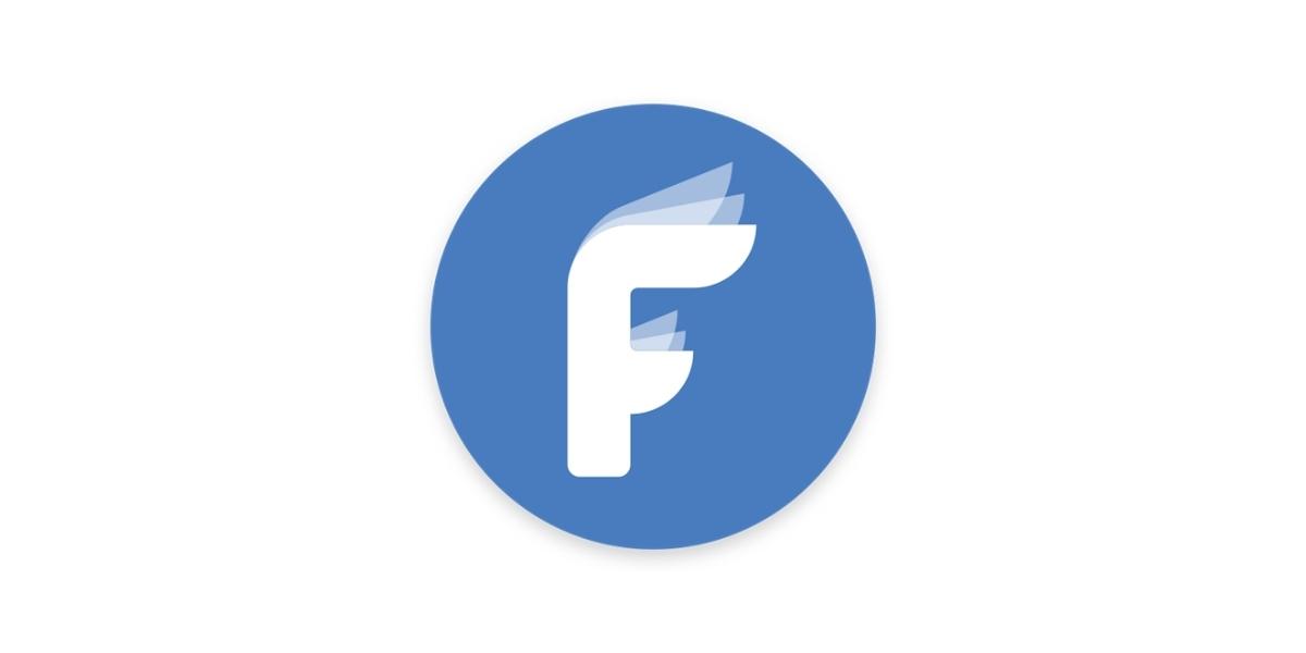 Flawless tool logo