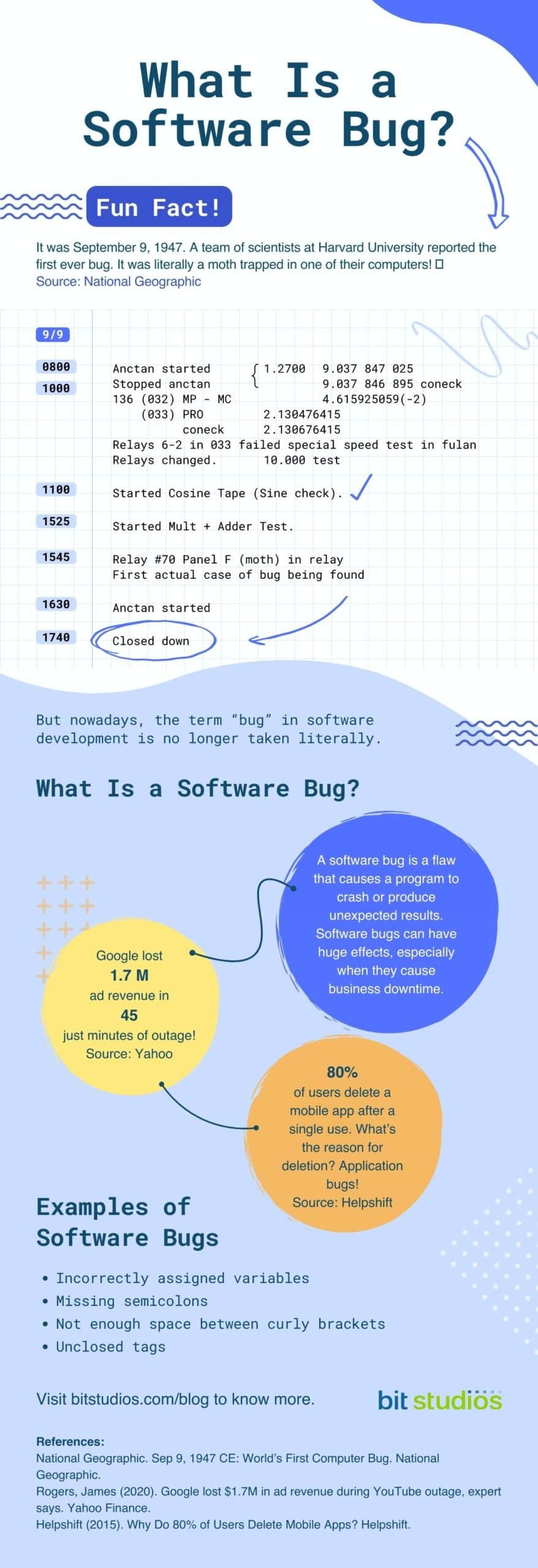 What is a Software Bug