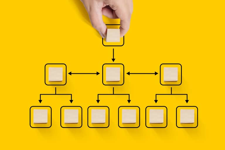 System Structure & Scope